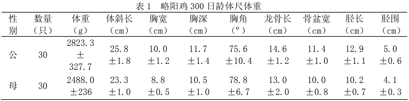 Lueyang_chicken1