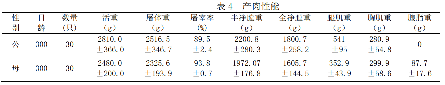 Lueyang_chicken4