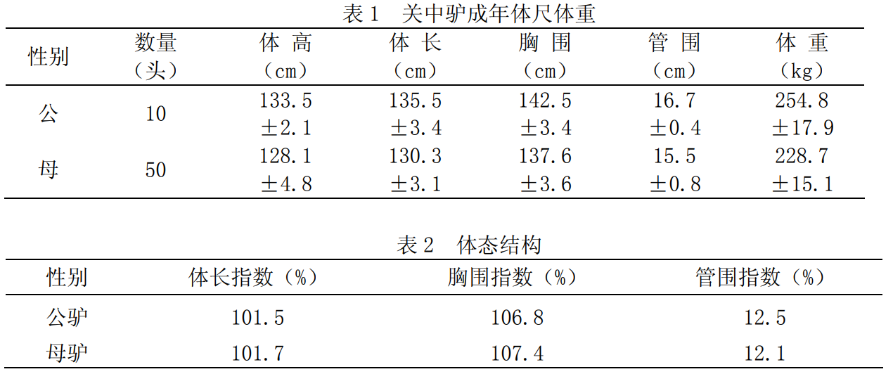 guanzhong_donkey12