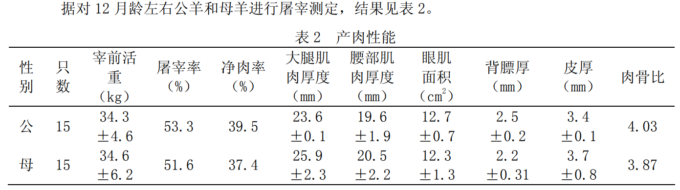 guanzhong_goat2