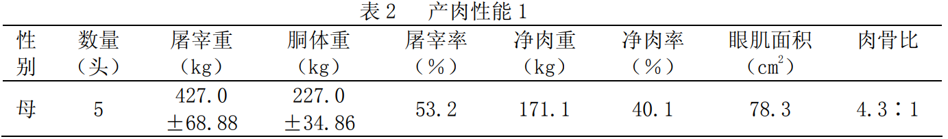 qinchuan2