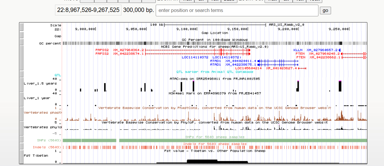 Genome Browser