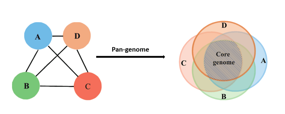Pan-genome